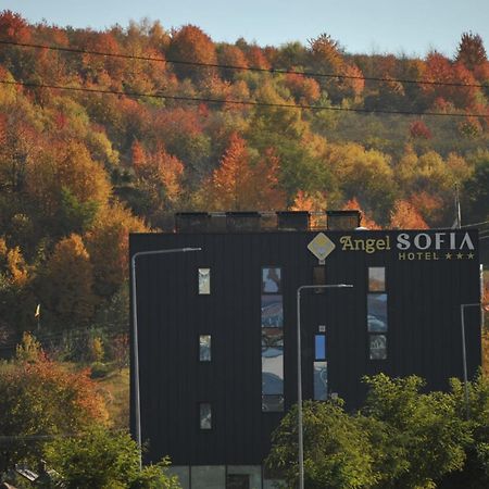 Hotel Angel Sofia Falticeni Exterior photo